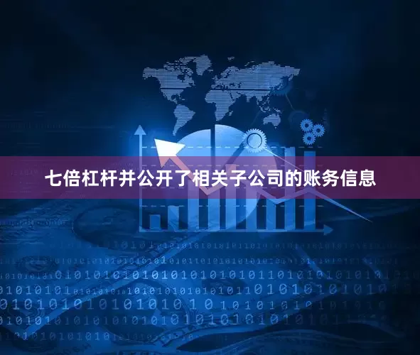 七倍杠杆并公开了相关子公司的账务信息