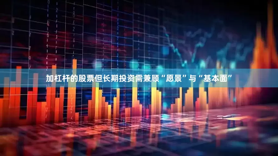 加杠杆的股票但长期投资需兼顾“愿景”与“基本面”