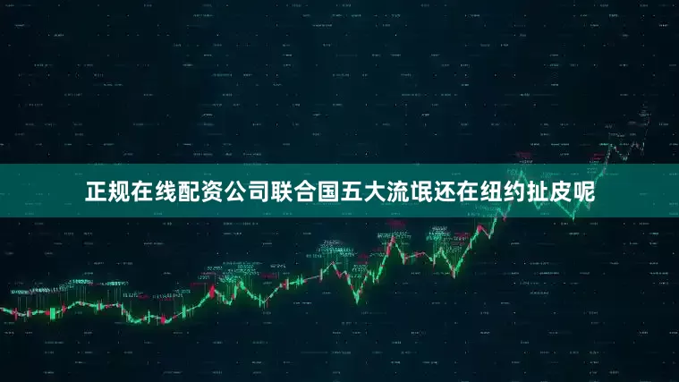 正规在线配资公司联合国五大流氓还在纽约扯皮呢