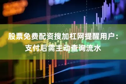 股票免费配资搜加杠网提醒用户：支付后需主动查询流水