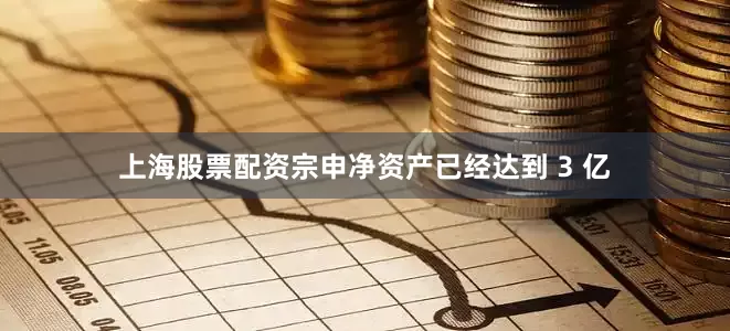 上海股票配资宗申净资产已经达到 3 亿