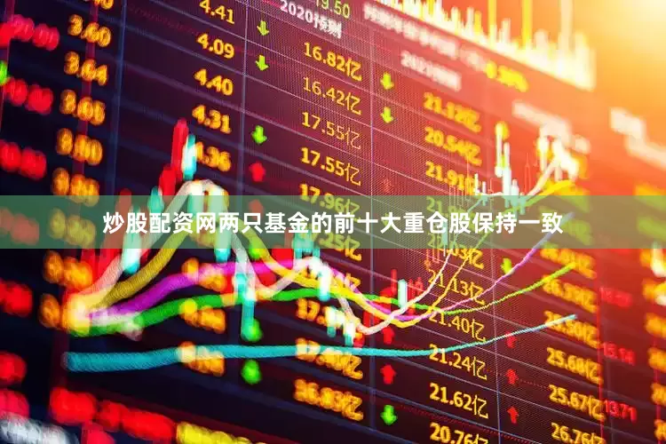 炒股配资网两只基金的前十大重仓股保持一致
