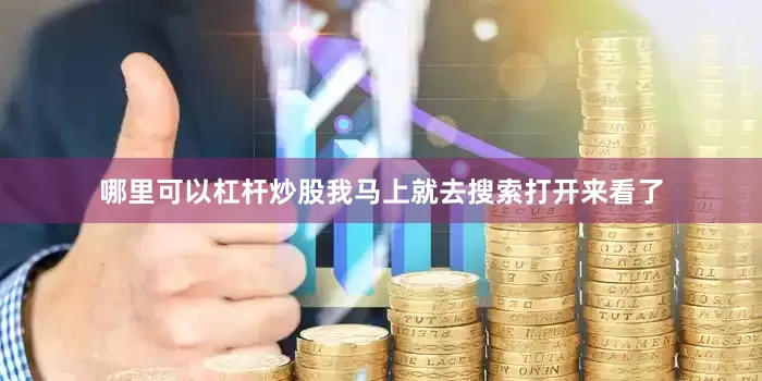 哪里可以杠杆炒股我马上就去搜索打开来看了